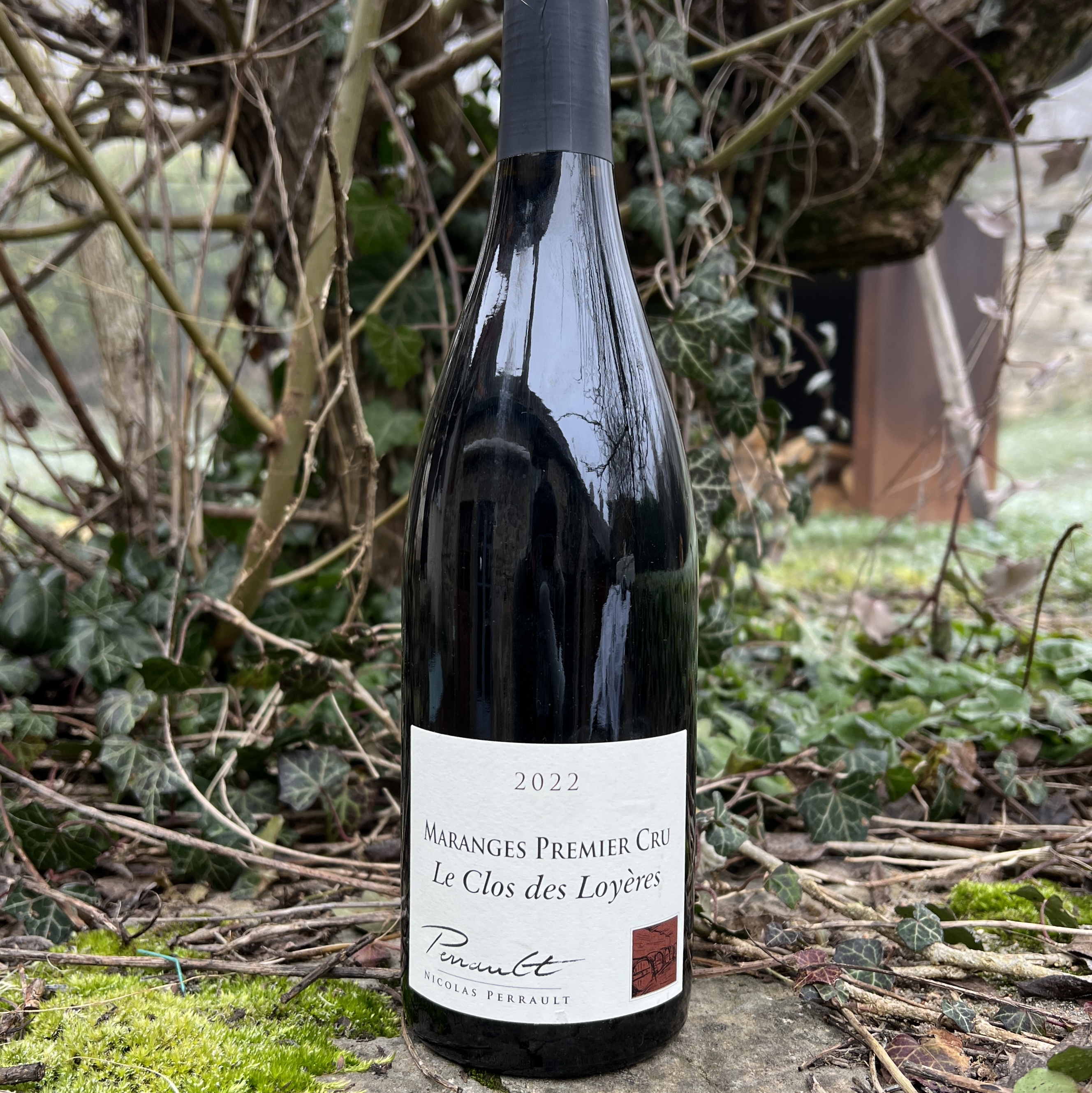 Maranges 1er cru Clos des Loyères