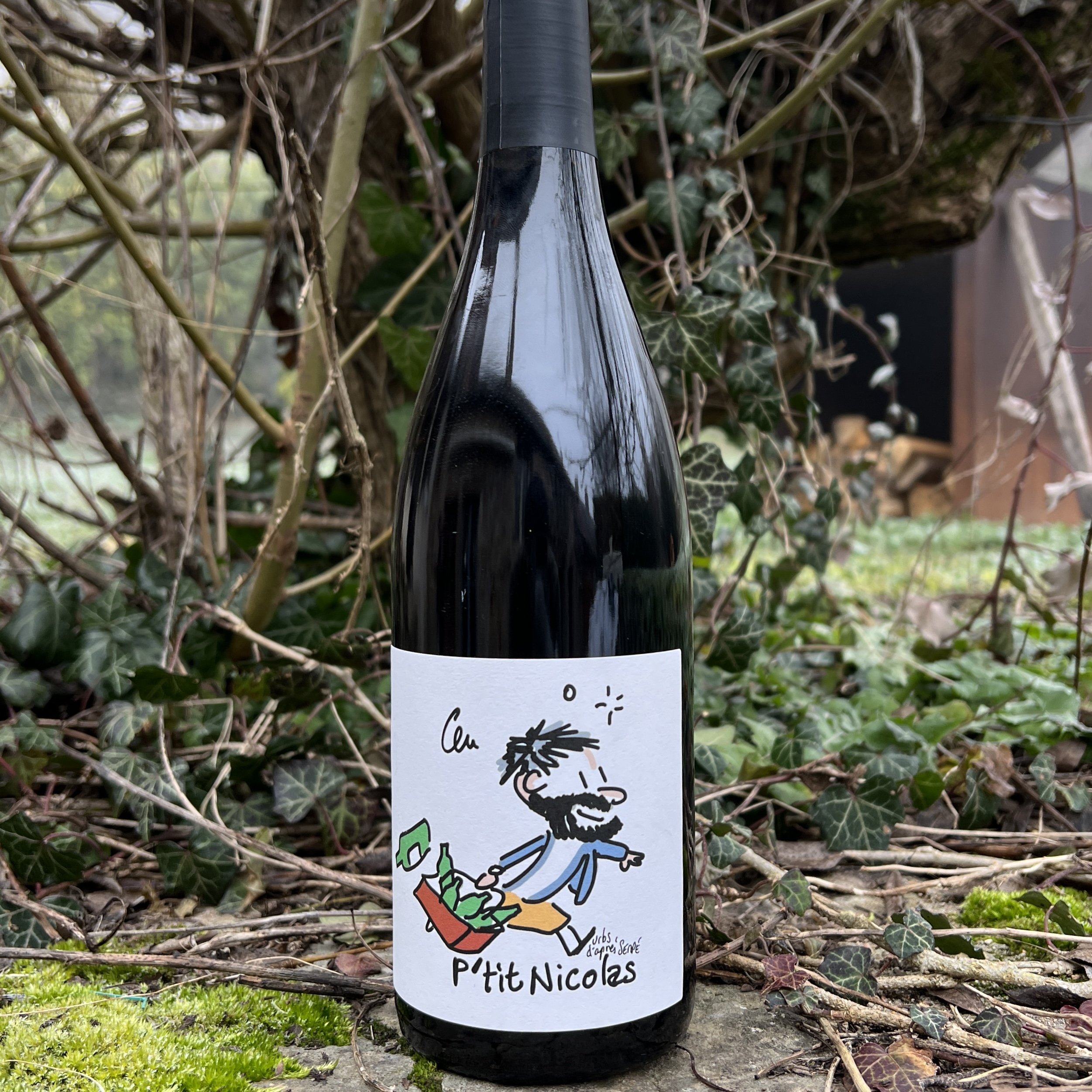 Le P'tit Nicolas Bourgogne