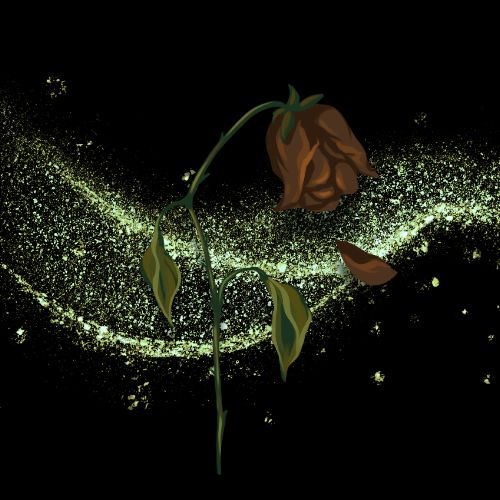 The Last Petal