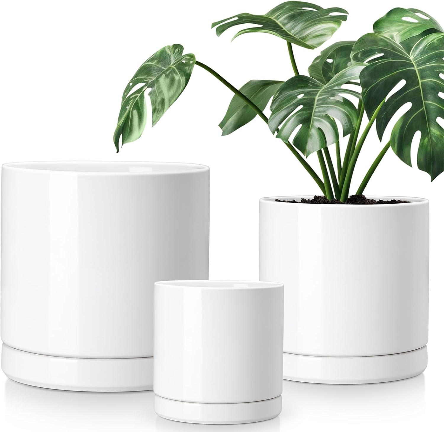 Set of Ceramic Plant Pots