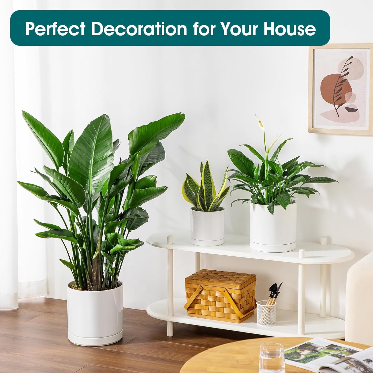 Set of Ceramic Plant Pots