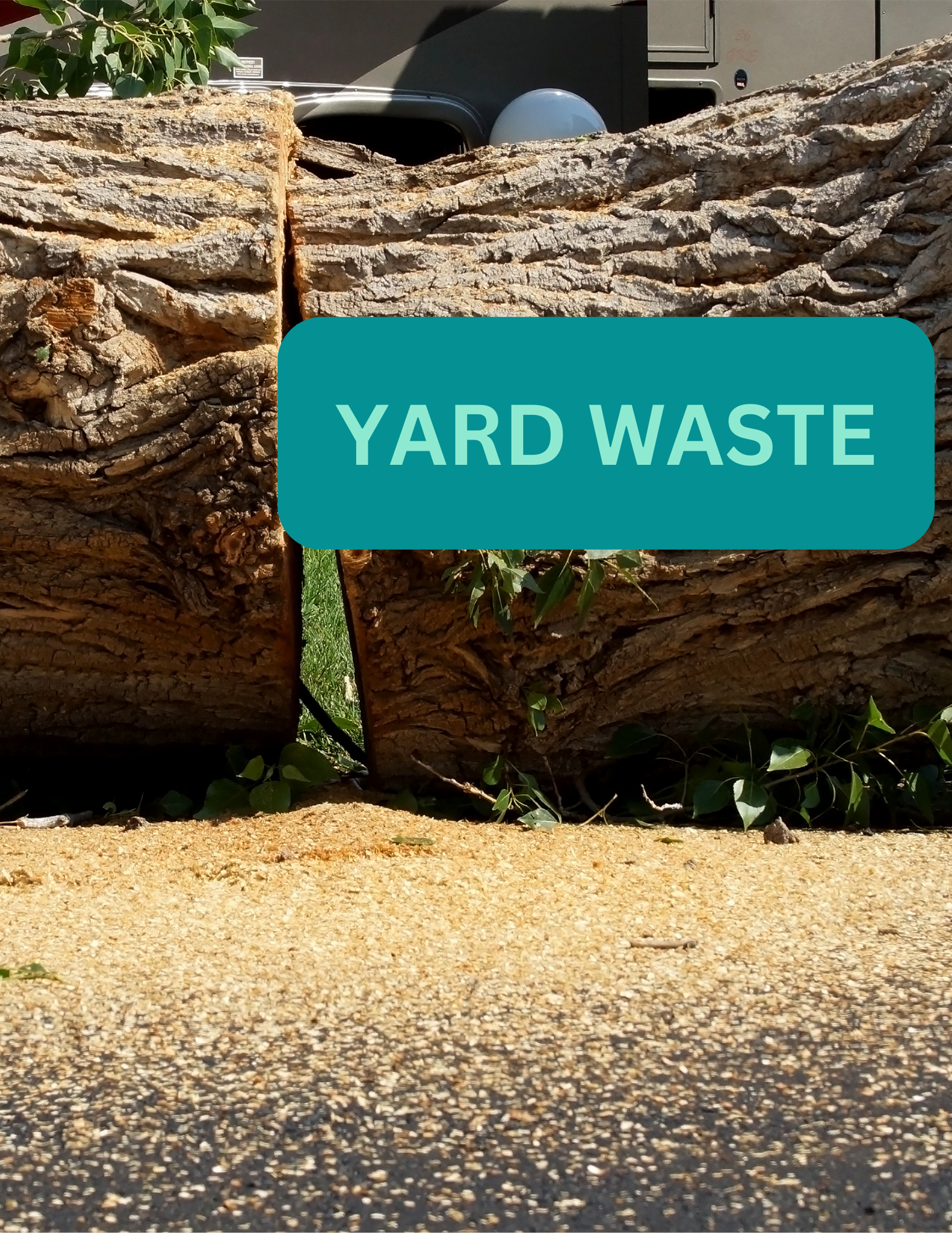 Trash Pickup and Removal