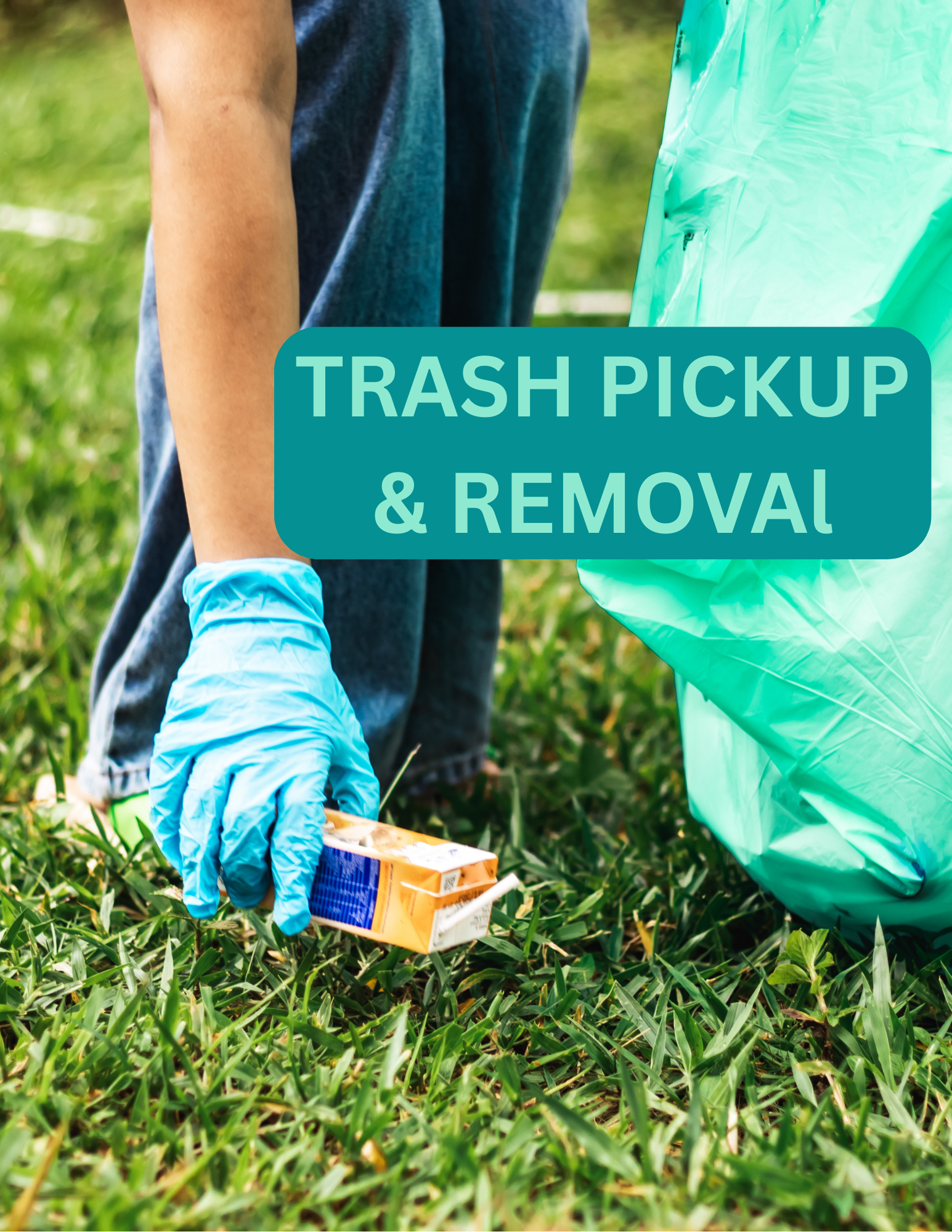 Trash Pickup and Removal