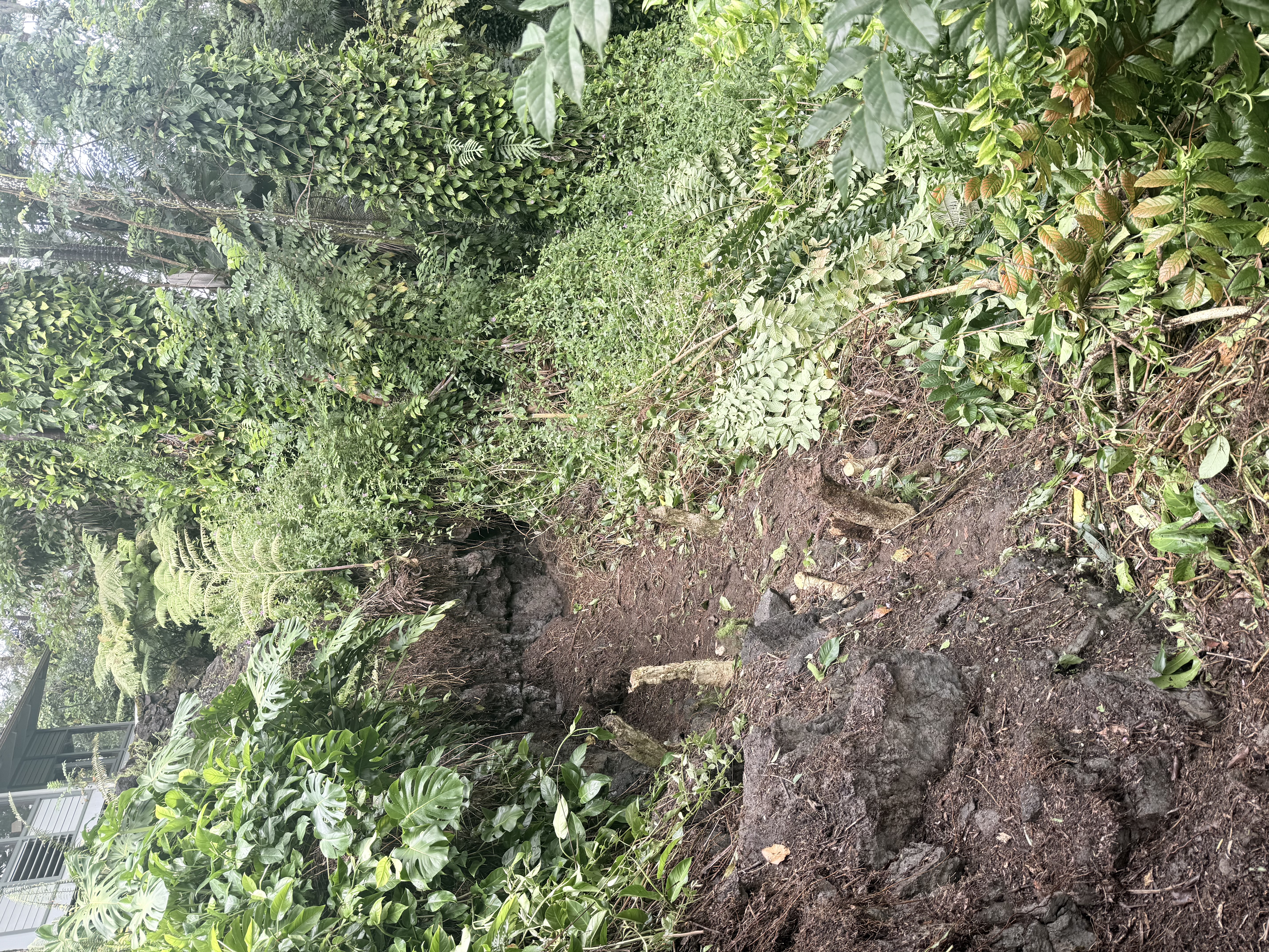 Risk Grade Clearing