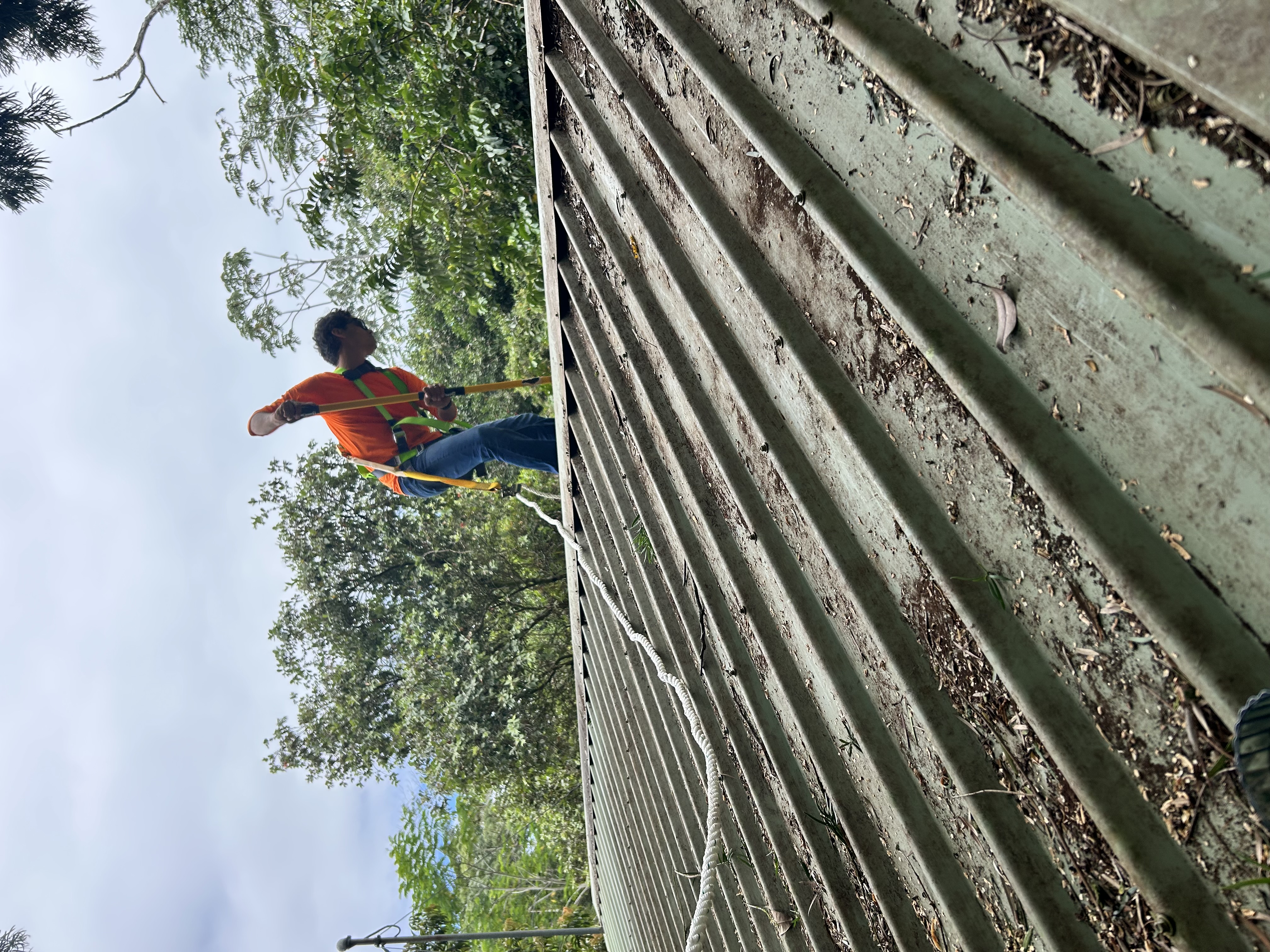 Pressure Washing