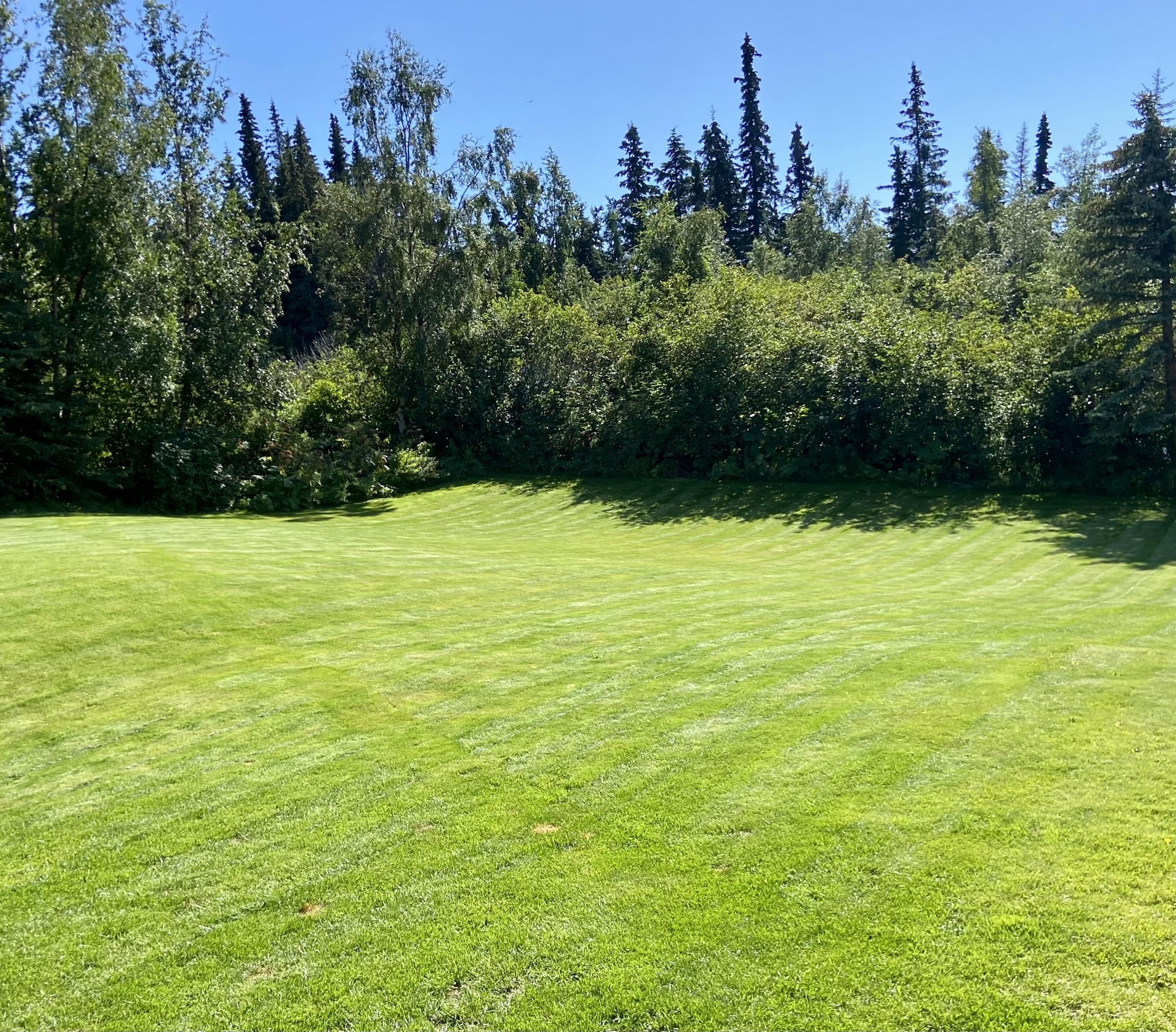 Lawn Care Service