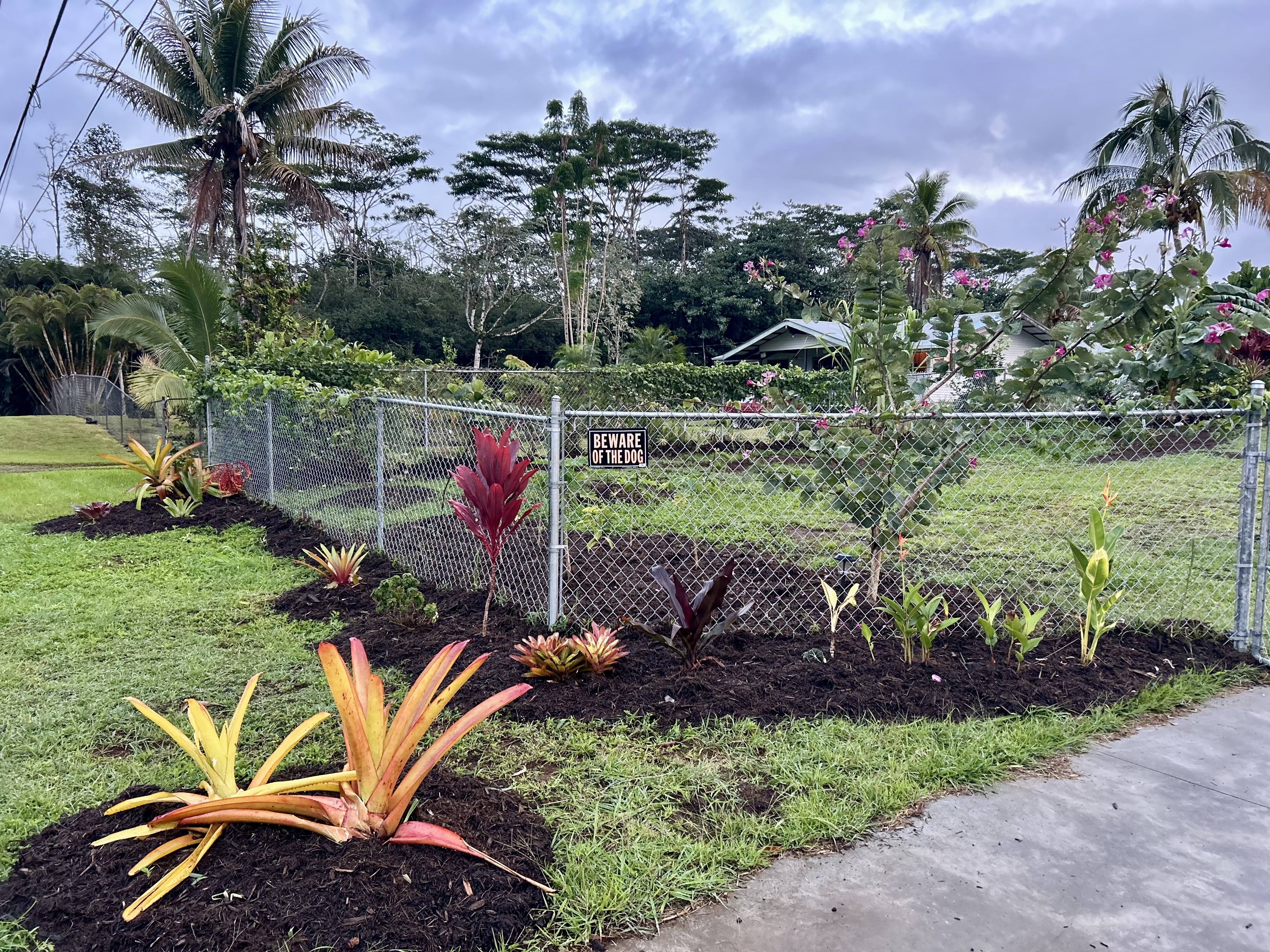 Landscape Maintenance