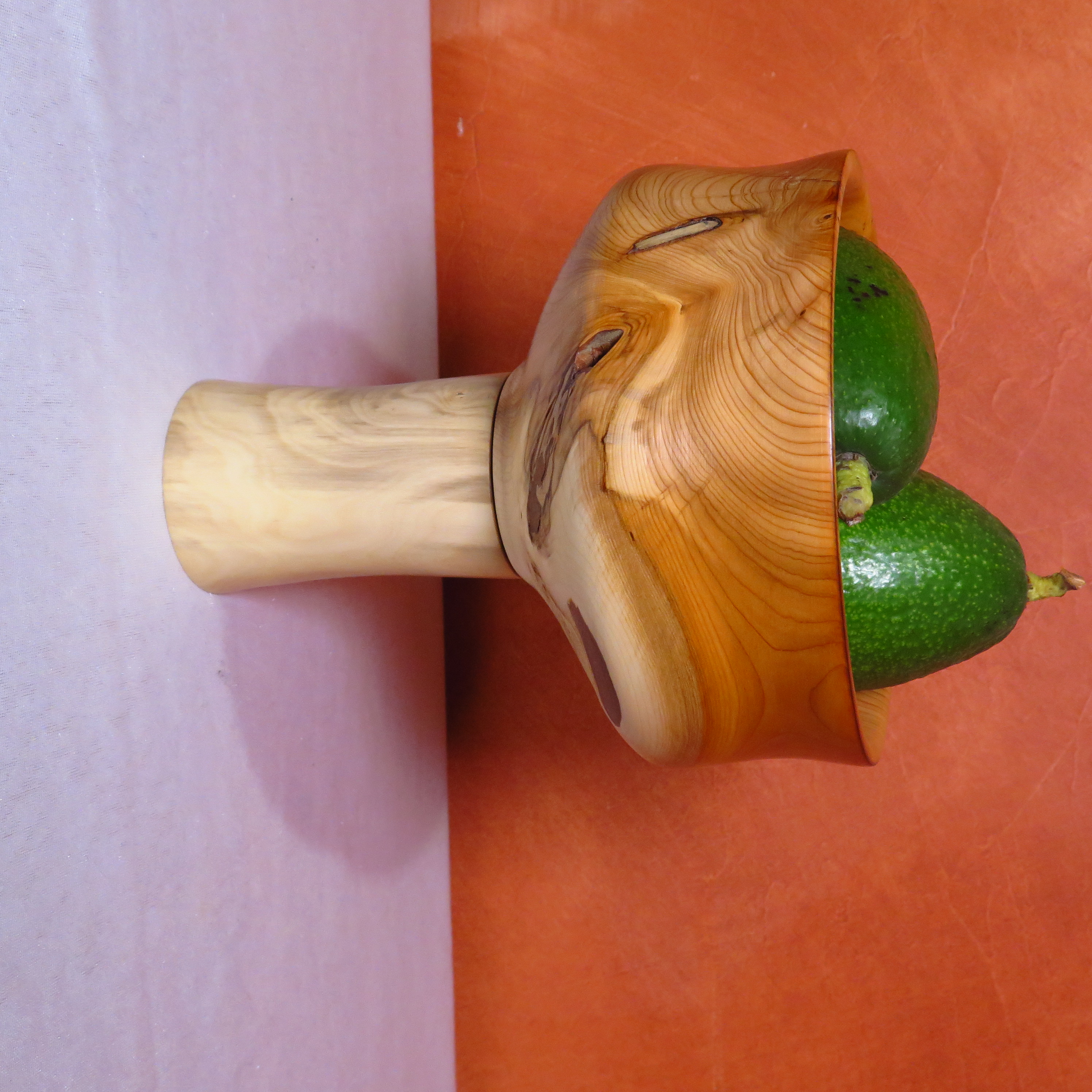 Coupe à pied en if et buis