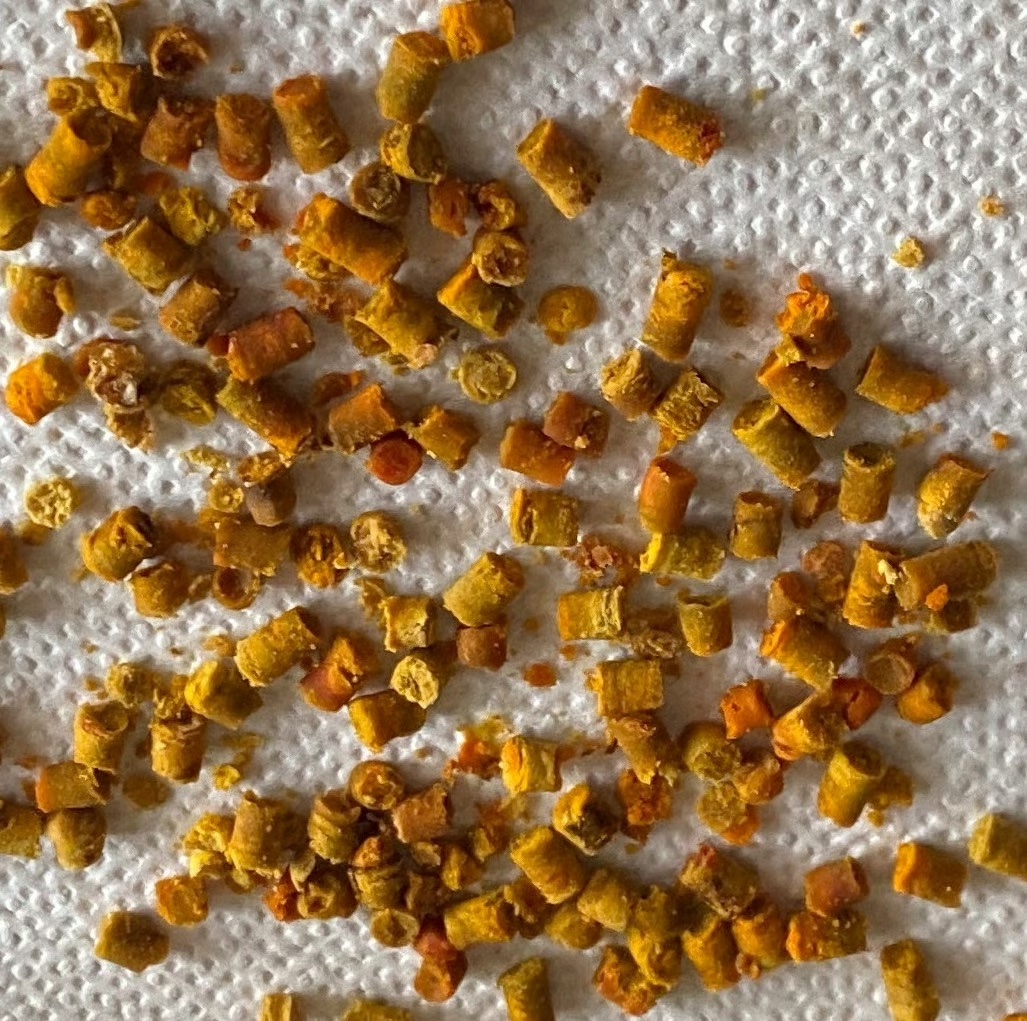 Fermentirani pčelinji pelud