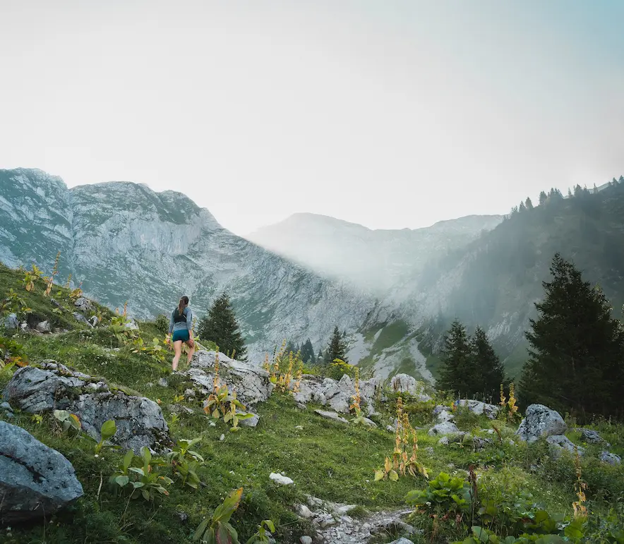 Trail journée (max 6 pers.)