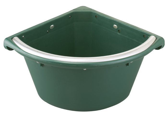 Mangiatoia angolare verde