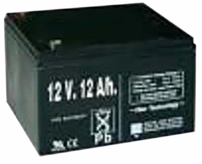 ELETTRIFICATORE A BATTERIA CON ALIMENTAZIONE A PANNELLO SOLARE 12V 12AH PANNELLO 10W - 91919  