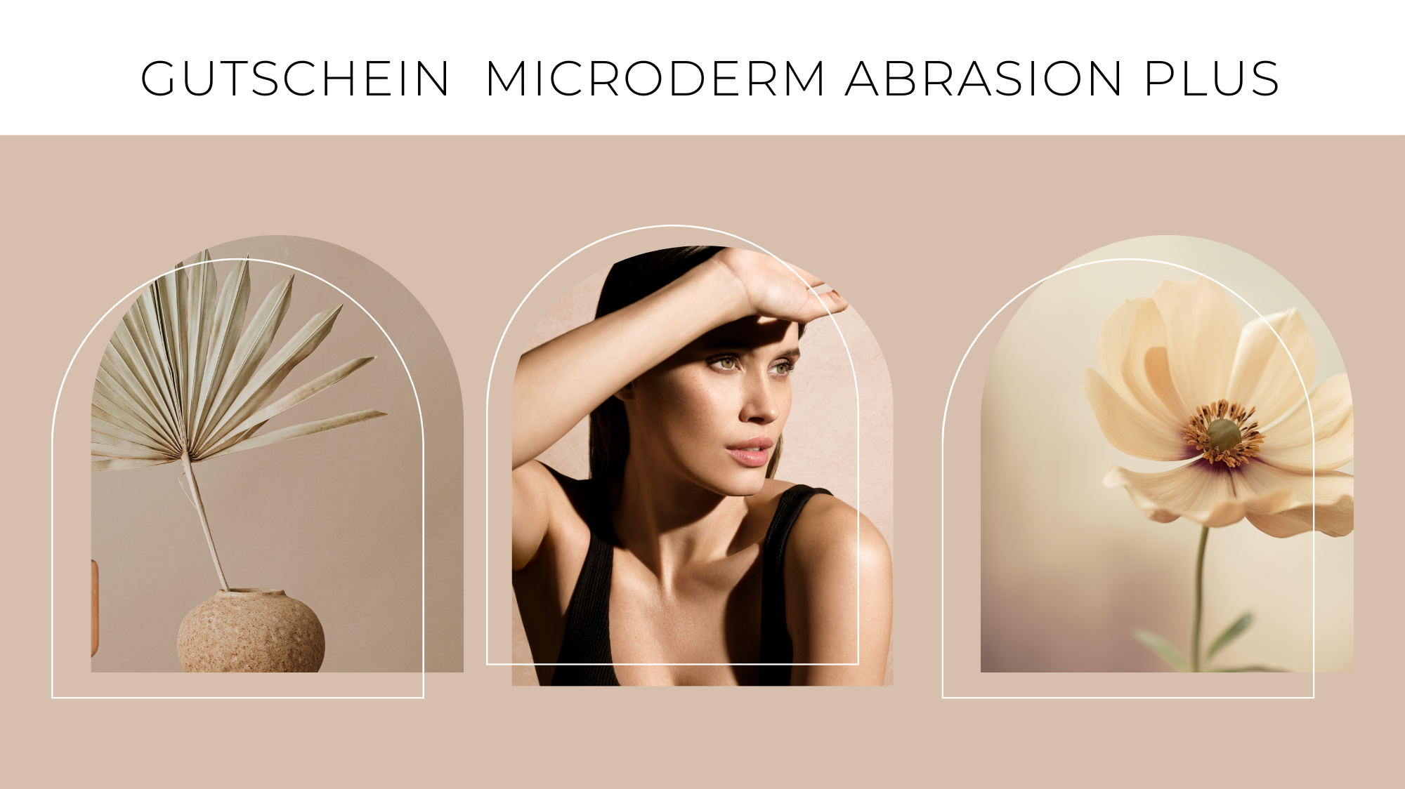 Microderm Abrasion Plus