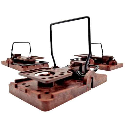 Tapettes à rats (x3) - Made in Germany