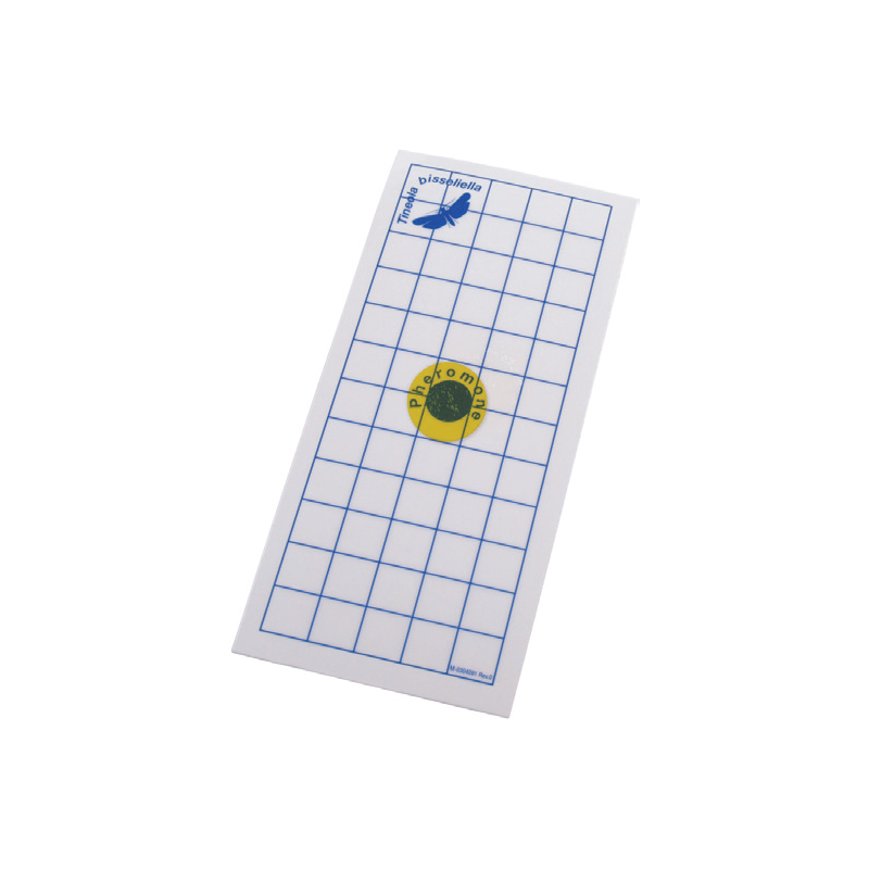 Piège à mite de vêtement avec phéromone