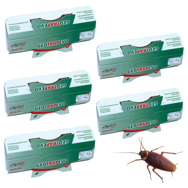 Piège à phéromones et à glu anti cafard (lot de 5)