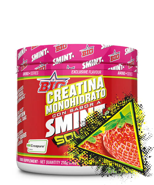 CREATINA MONOHIDRATO SMINT BIG 210GRAMOS