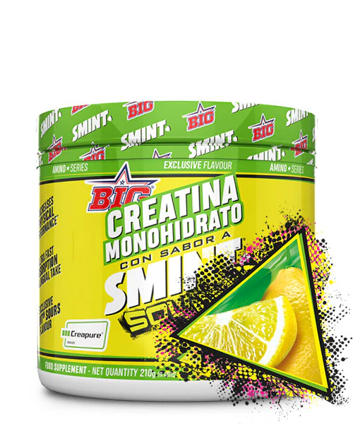 CREATINA MONOHIDRATO SMINT BIG 210GRAMOS