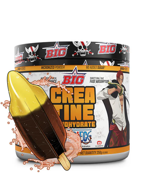 CREATINA MONOHIDRATO ONE PIECE BIG 250GR