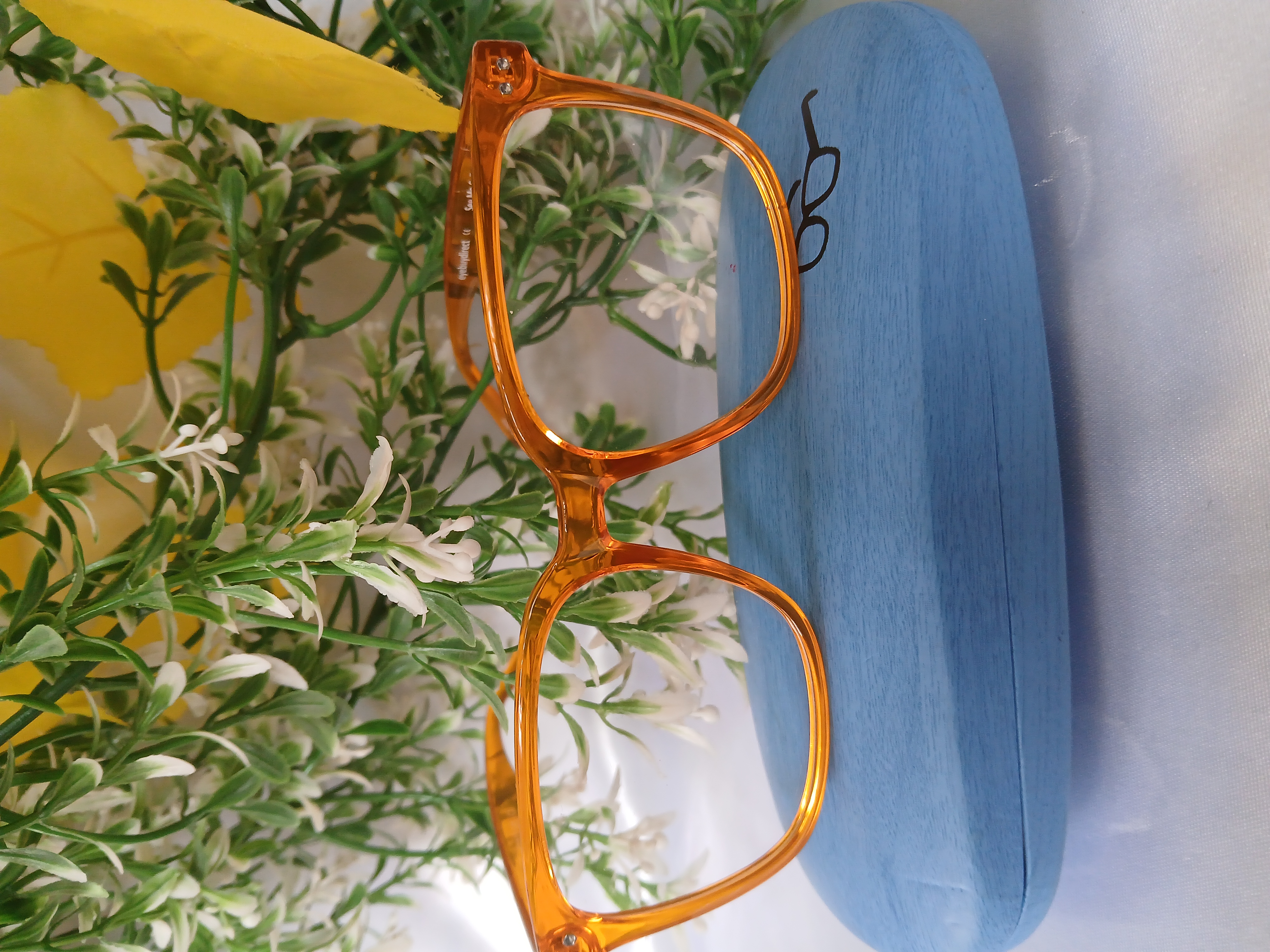 Orange Frame Glasses