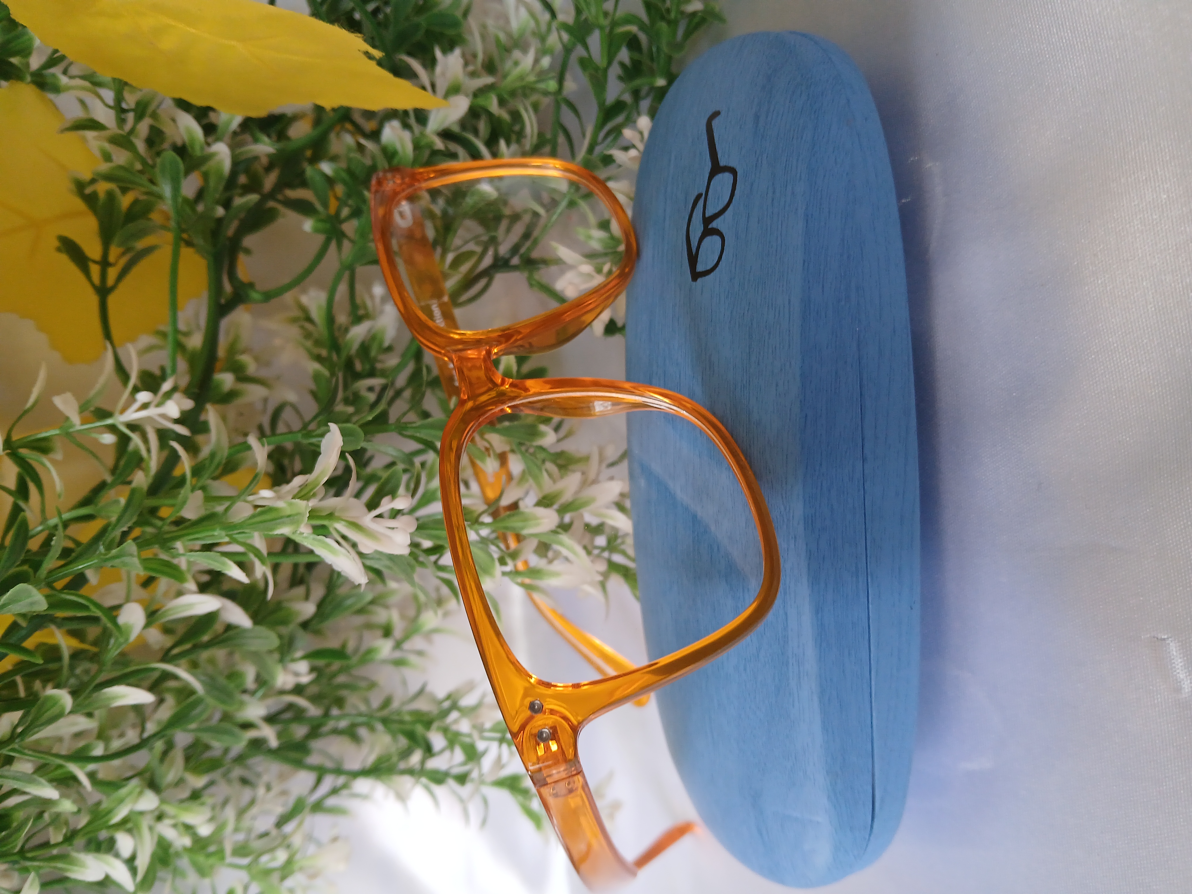 Orange Frame Glasses