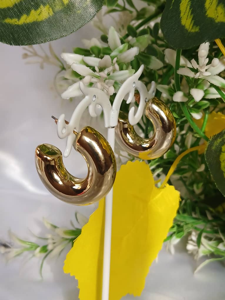 Gold Hoop Earrings