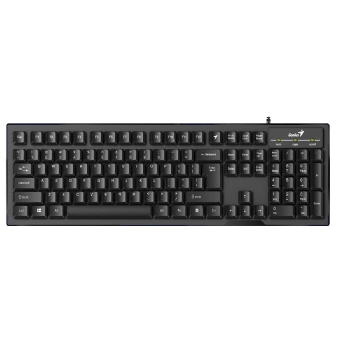 Teclado Genius KB 113