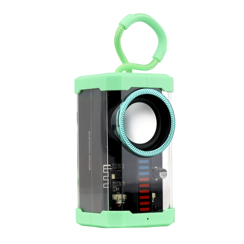 PARLANTE BT TRANSPARENTE A11