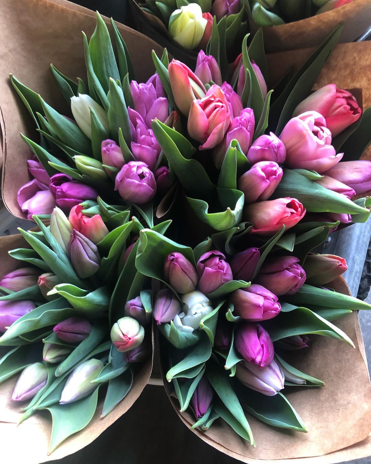 Spring Tulip Bouquet Subscription