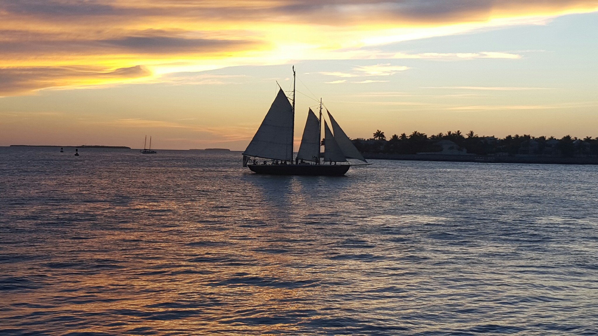 Single Health Consult