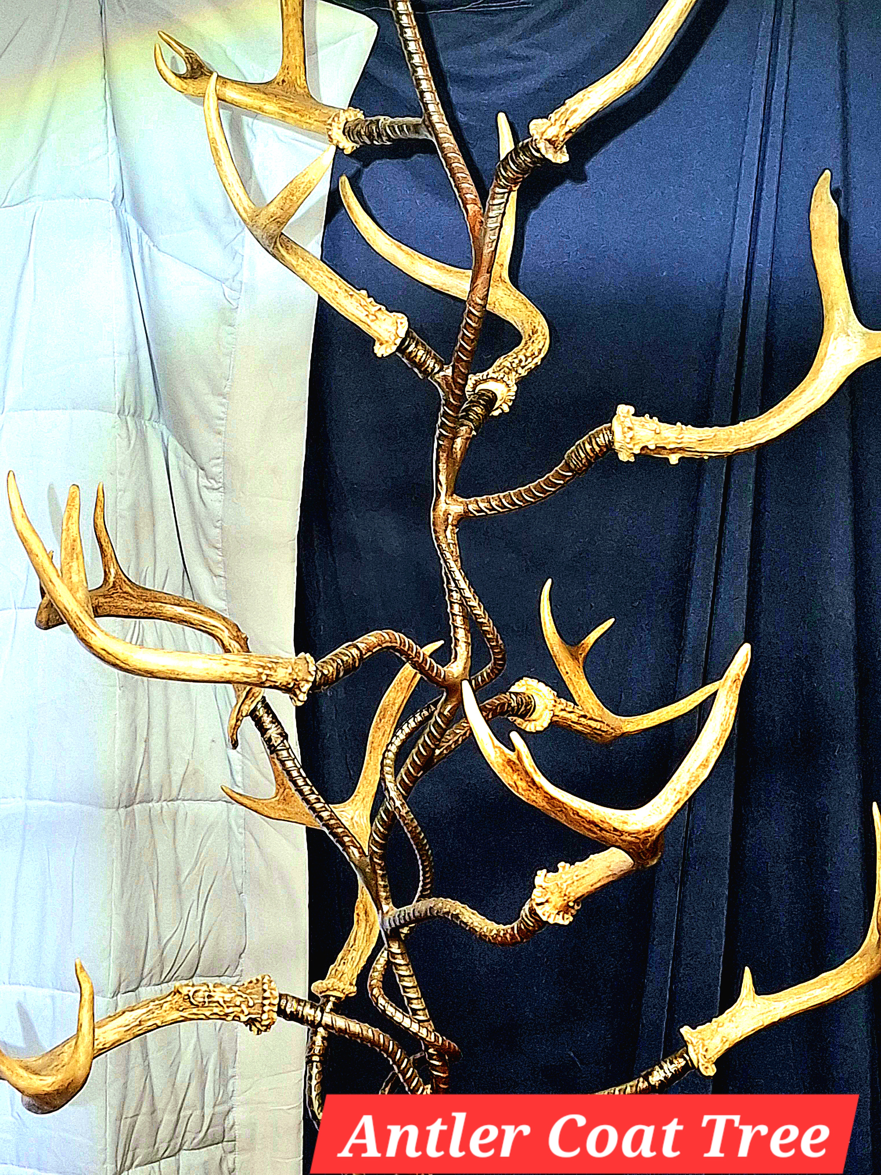 White Tail Antler Coat Tree
