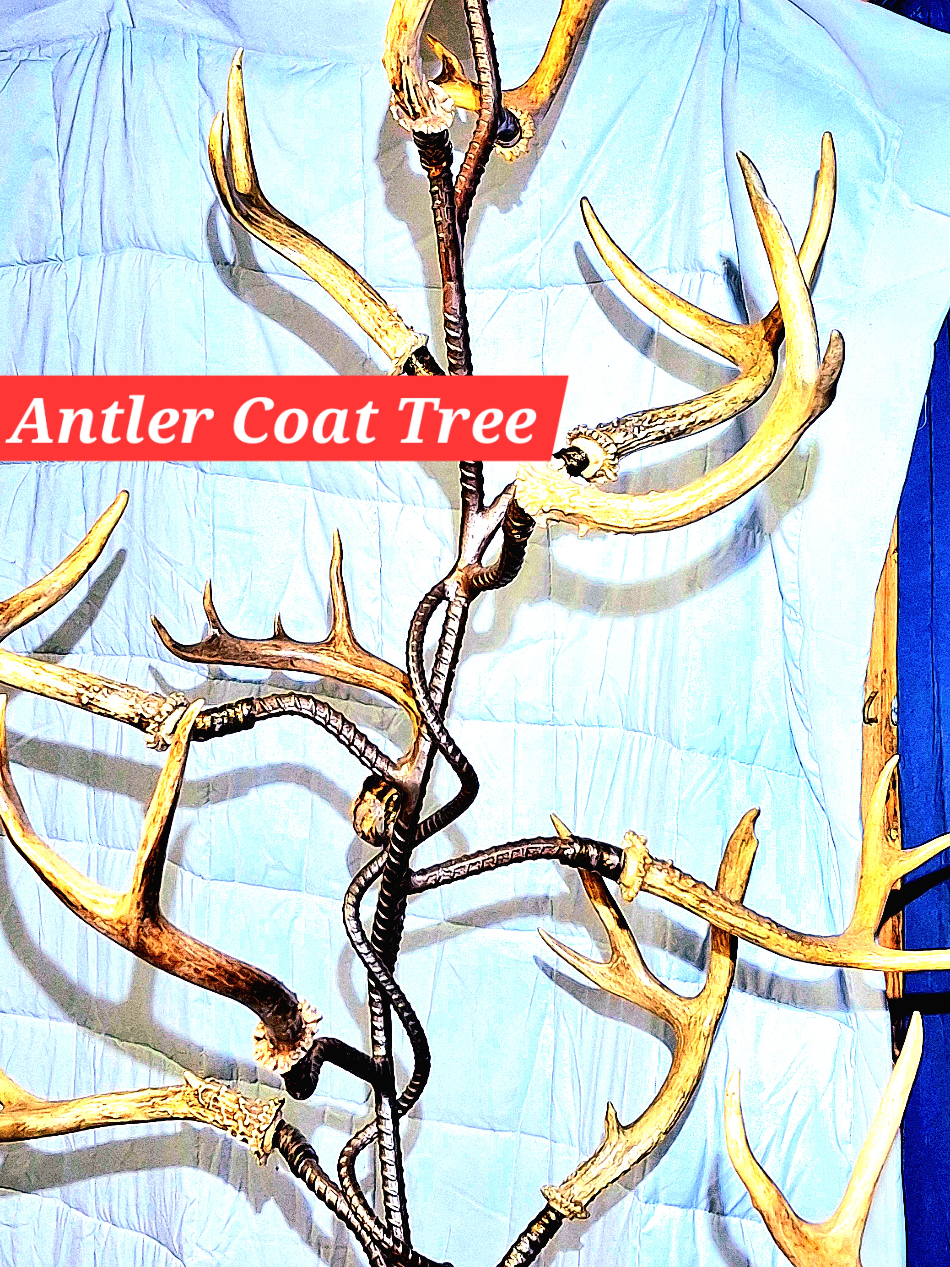 White Tail Antler Coat Tree