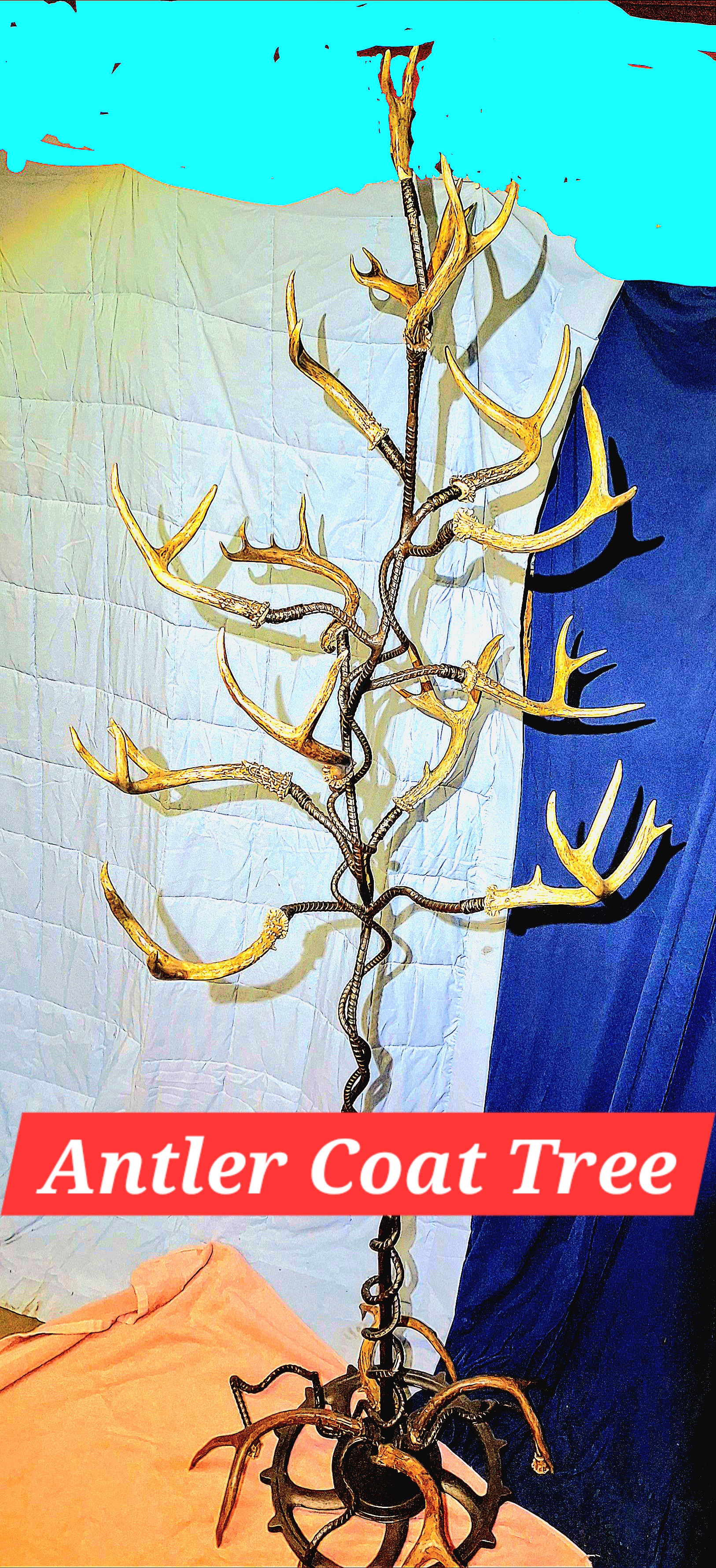 White Tail Antler Coat Tree