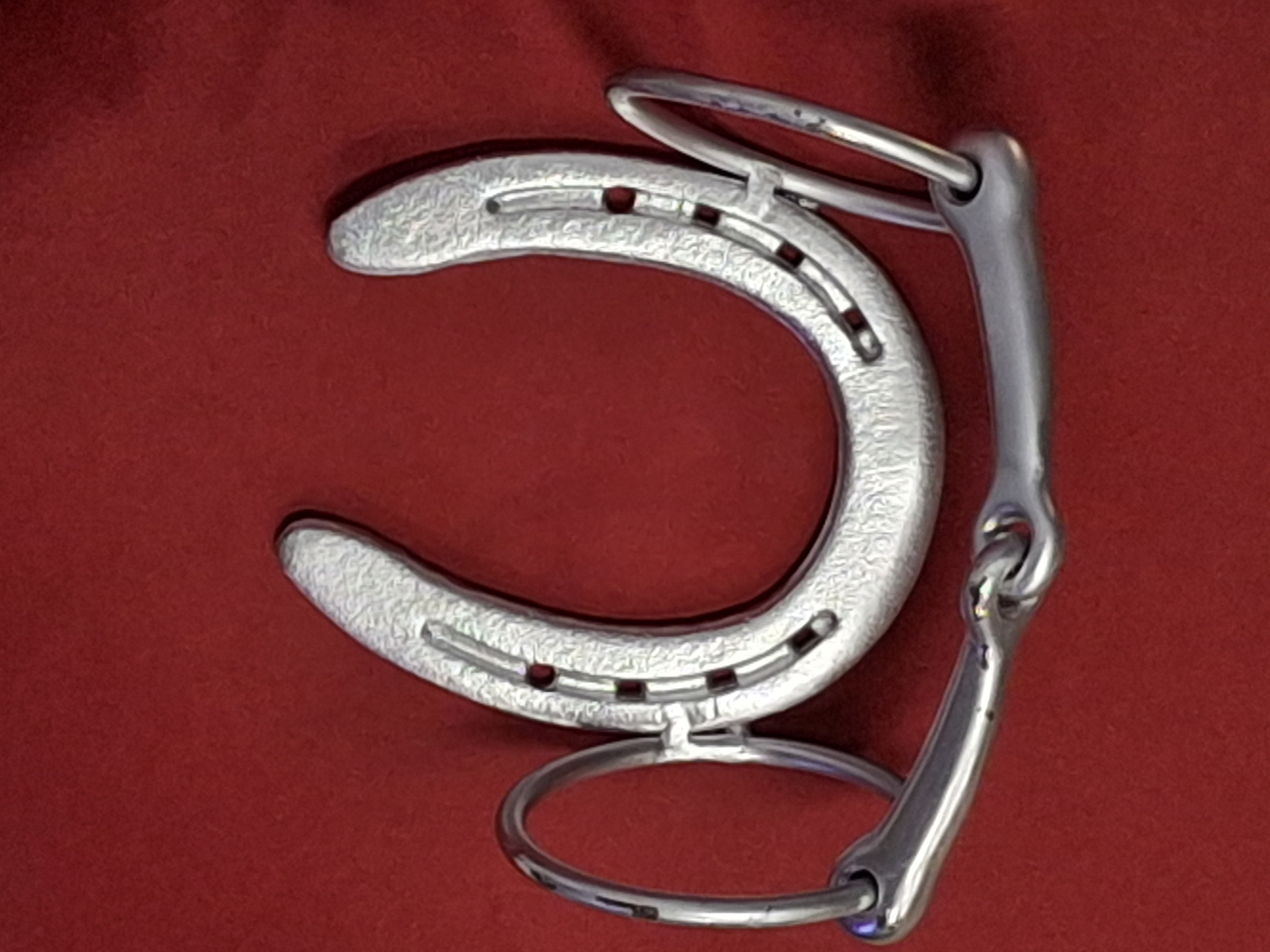 Horseshoe Towel Holder