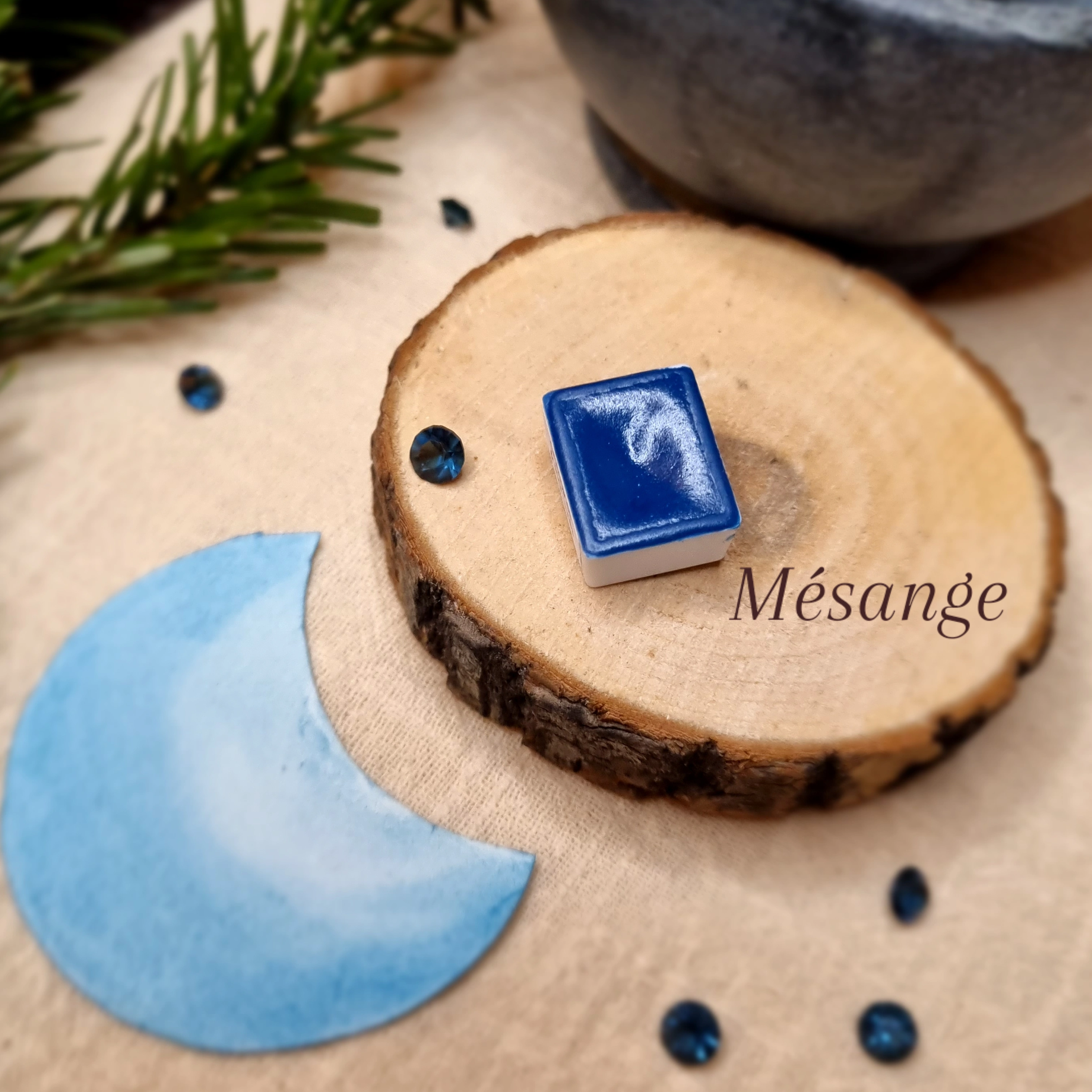 Mésange