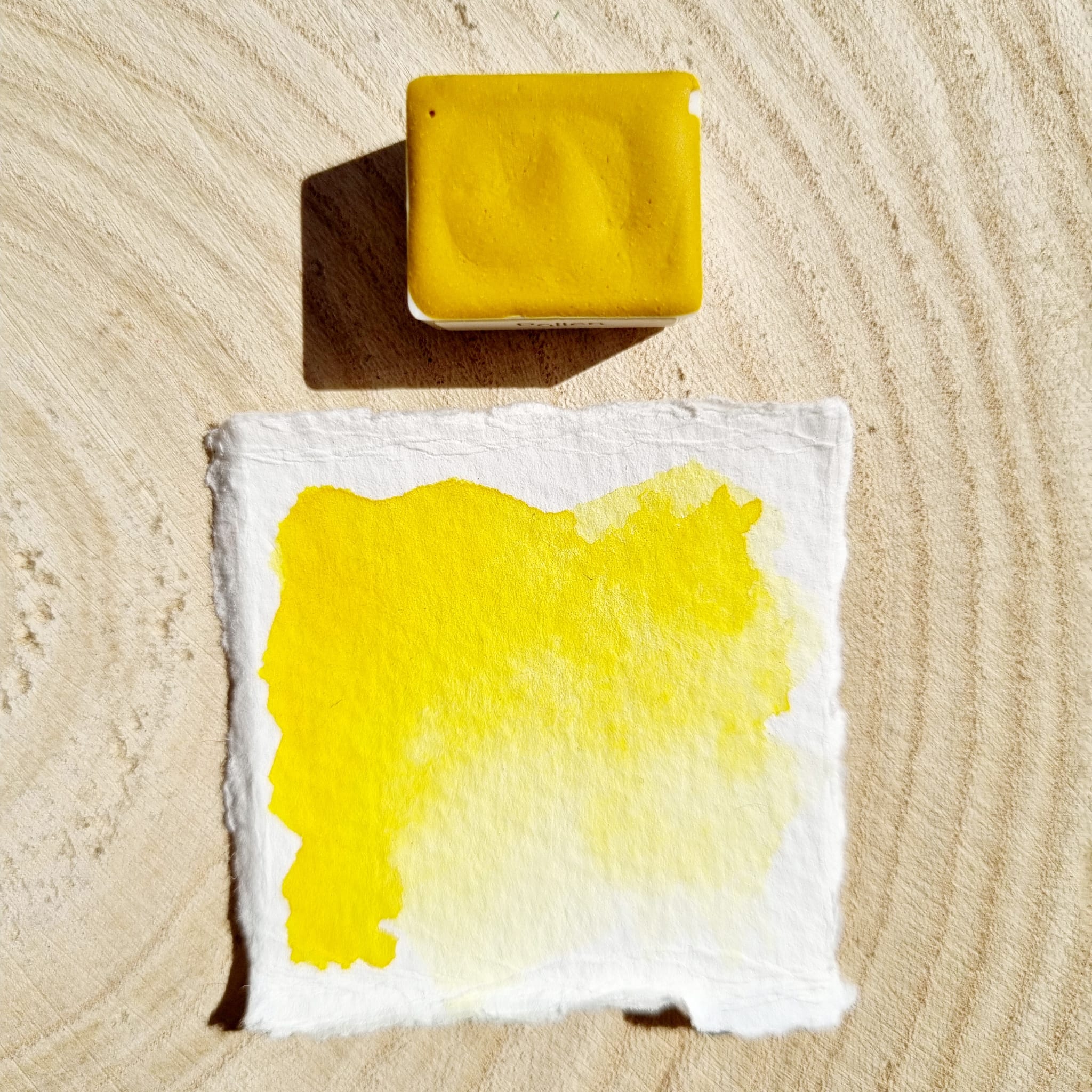 Pollen