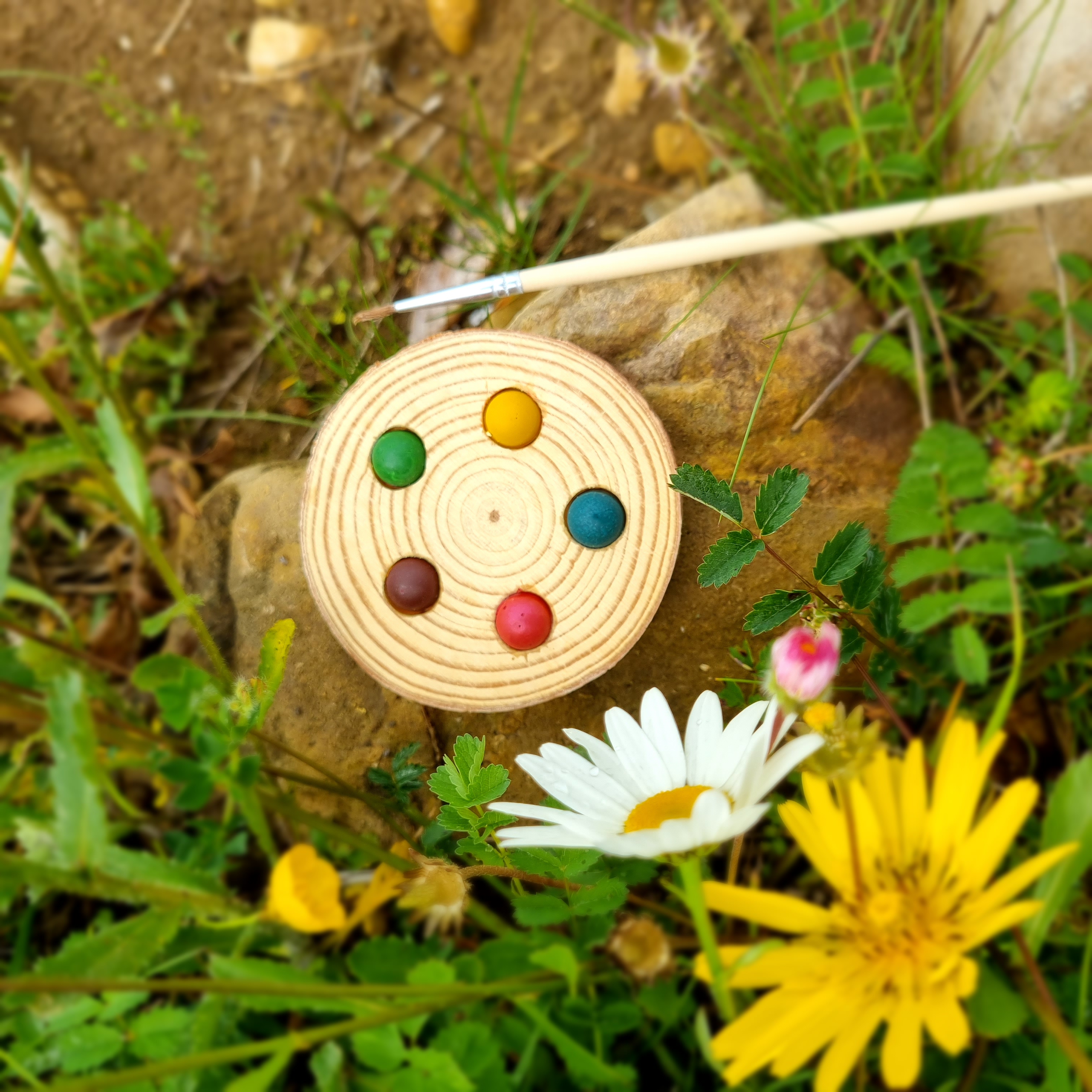 Palette sur rondin de bois 