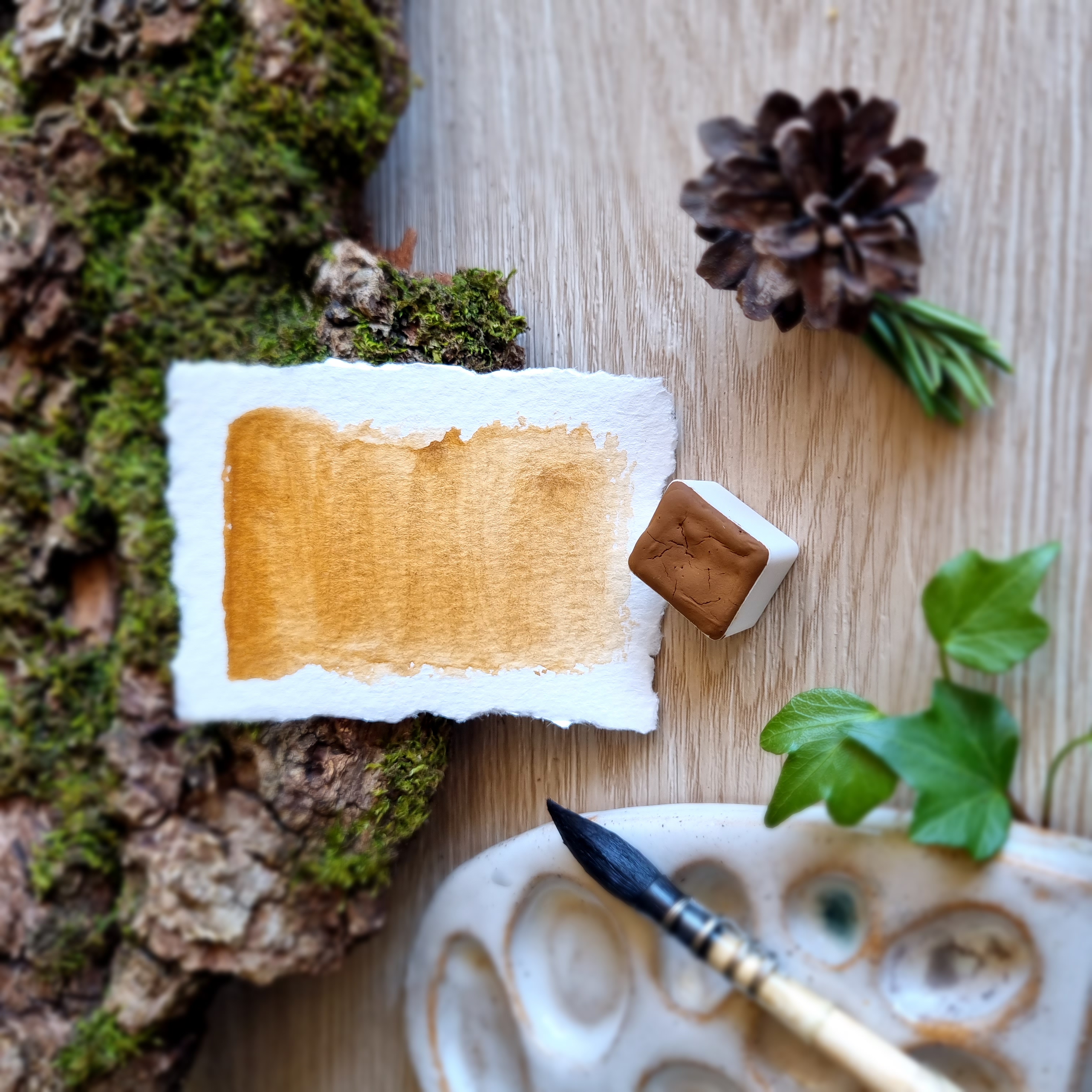 Petite palette "Le sentier des renards"