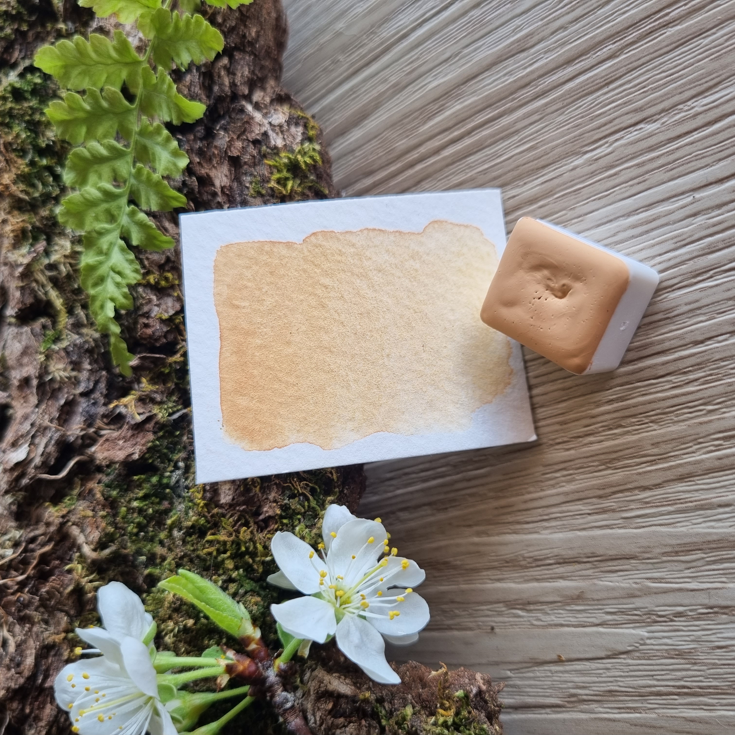 Petite palette "Délice de printemps"