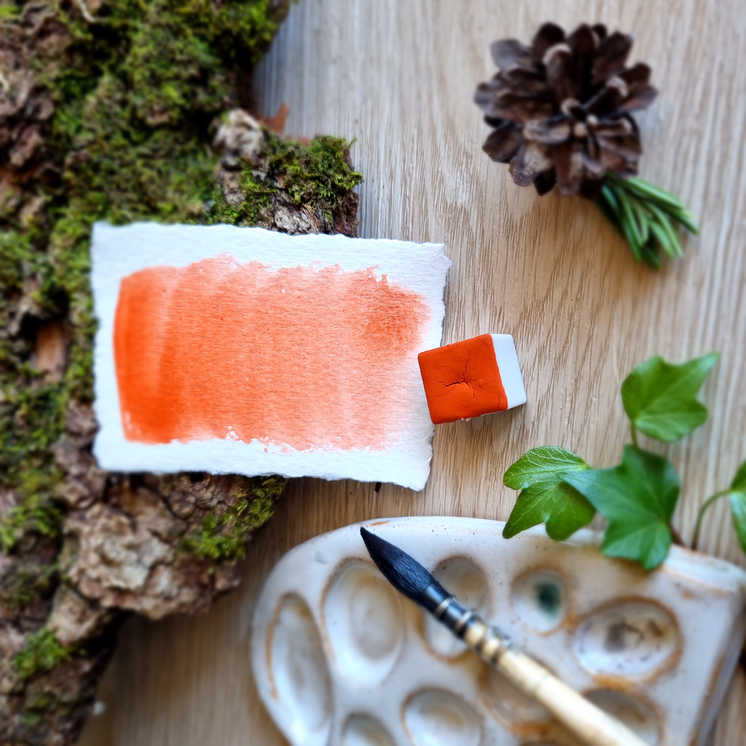 Petite palette "Le sentier des renards"