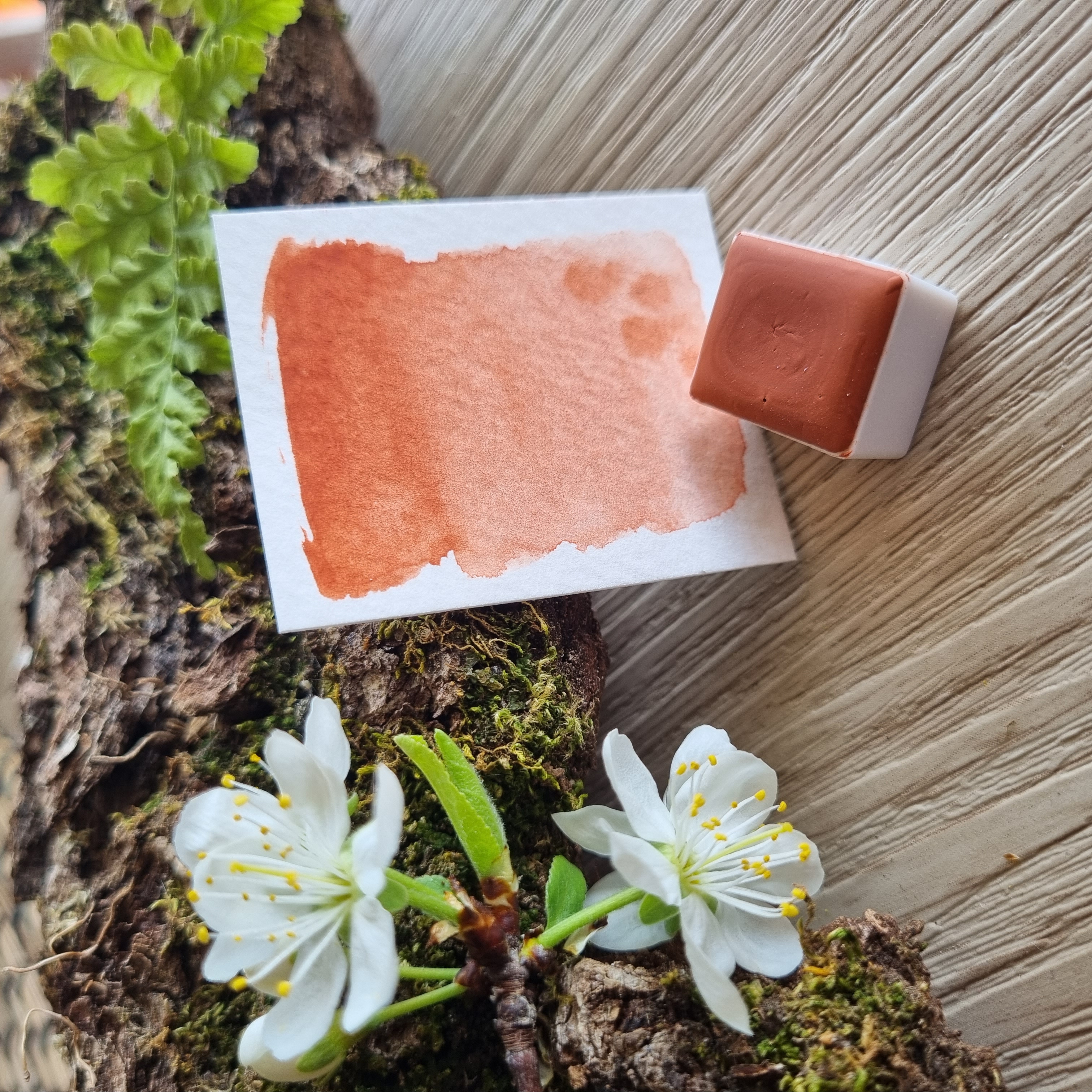 Petite palette "Délice de printemps"