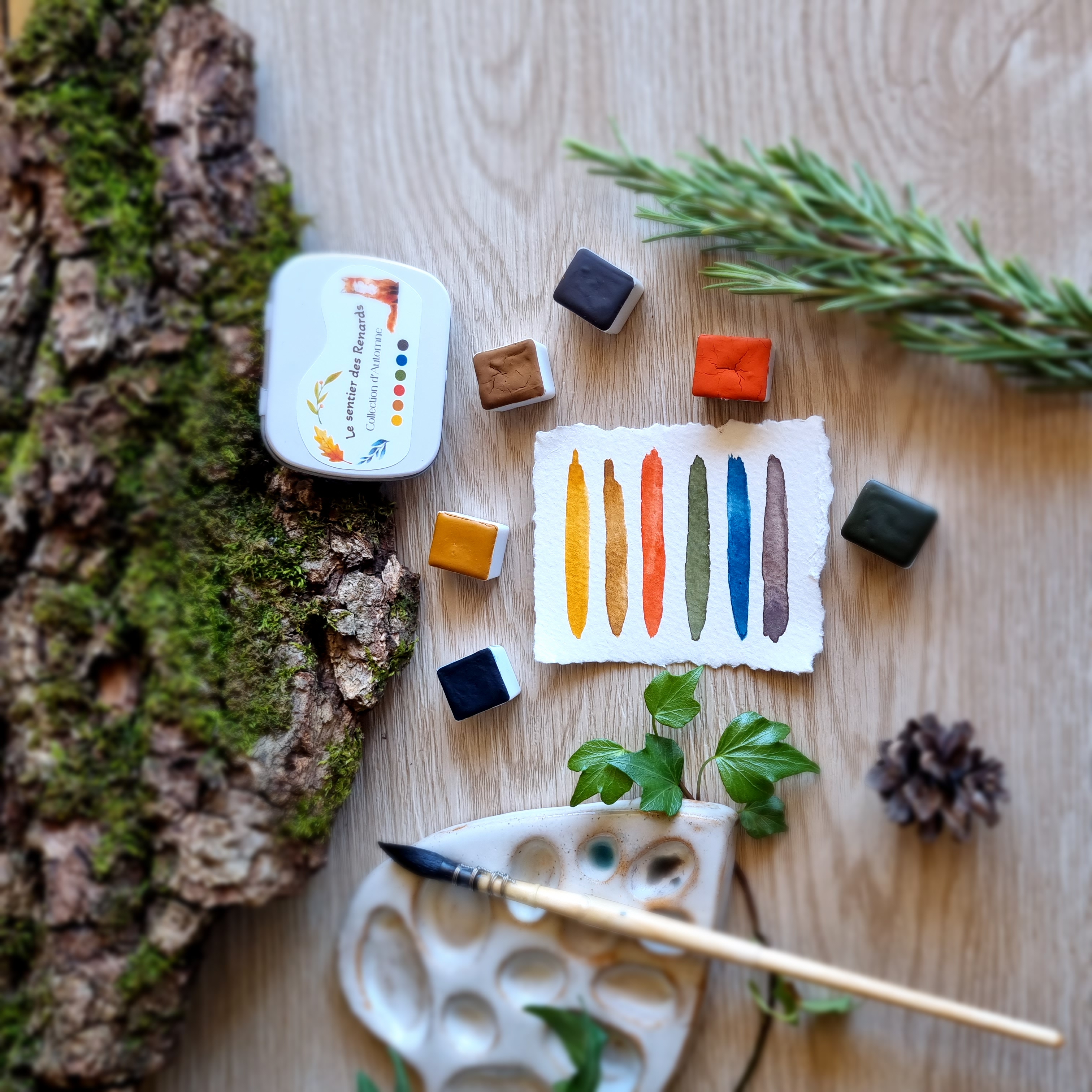 Petite palette "Le sentier des renards"