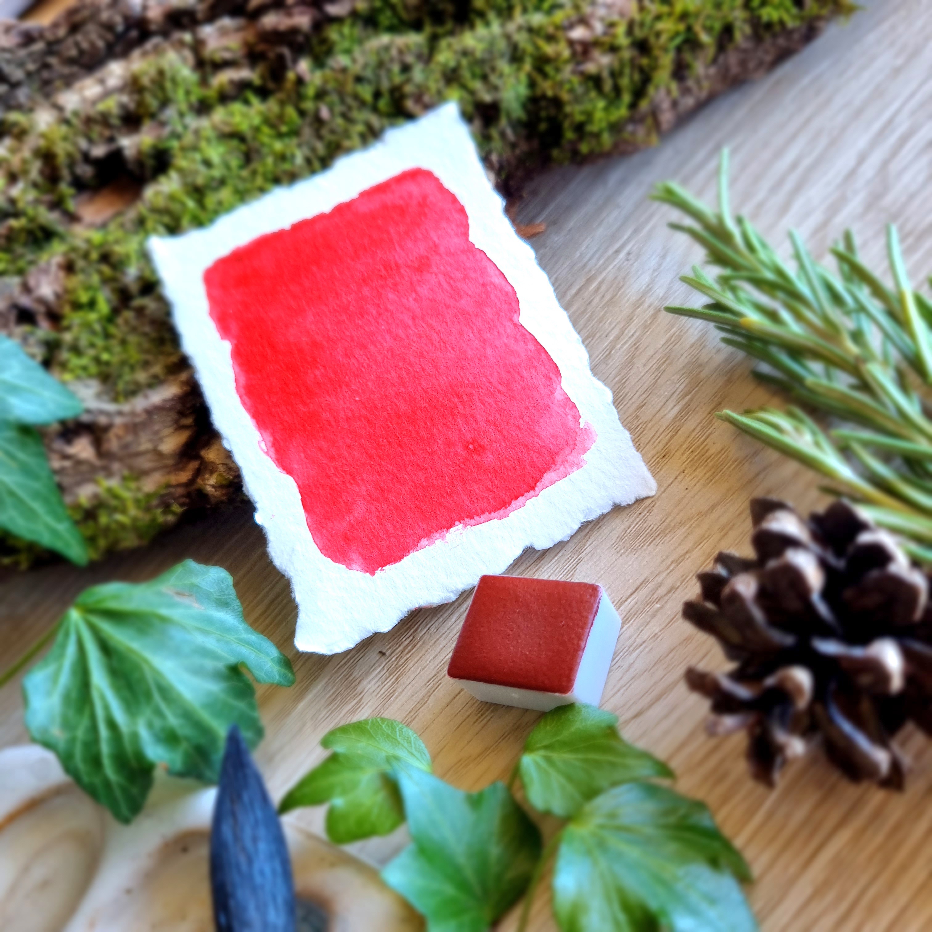 Petite palette "Sur un tapis de feuilles"