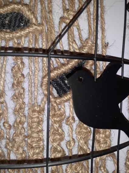 L'Oiseau Rebel
