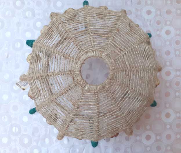 Fibres d'Aurore