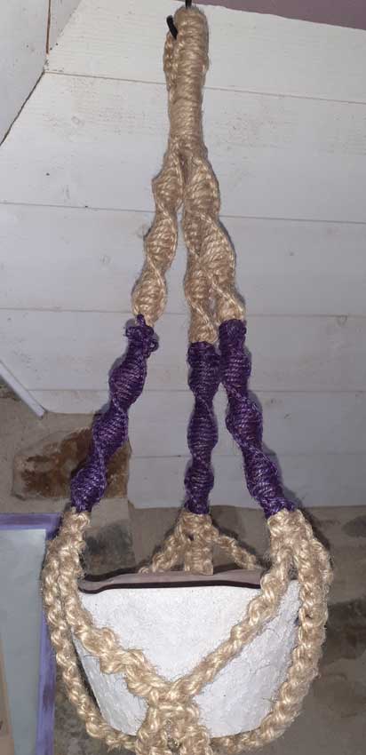 Violetta