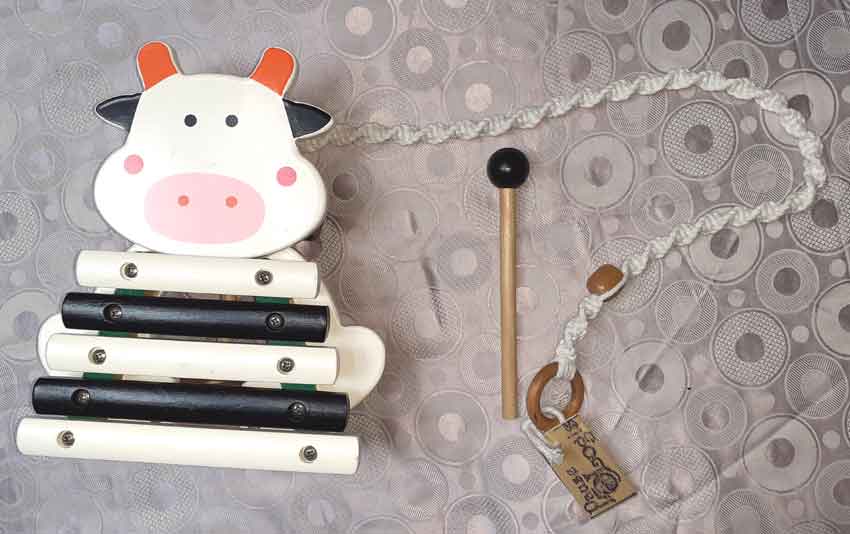 Xylo Cow