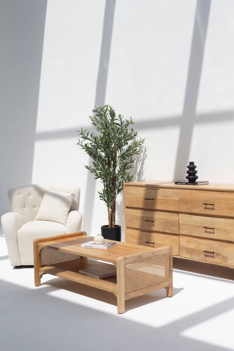 Winona Rattan Wood Coffee Table