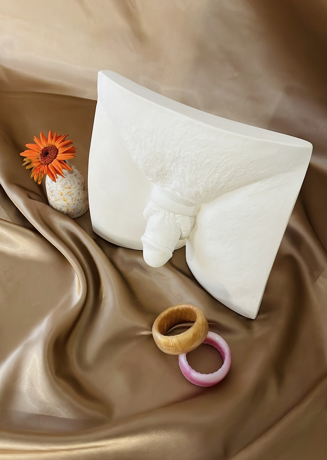 Moulage pédagogique – Anneau contraceptif 