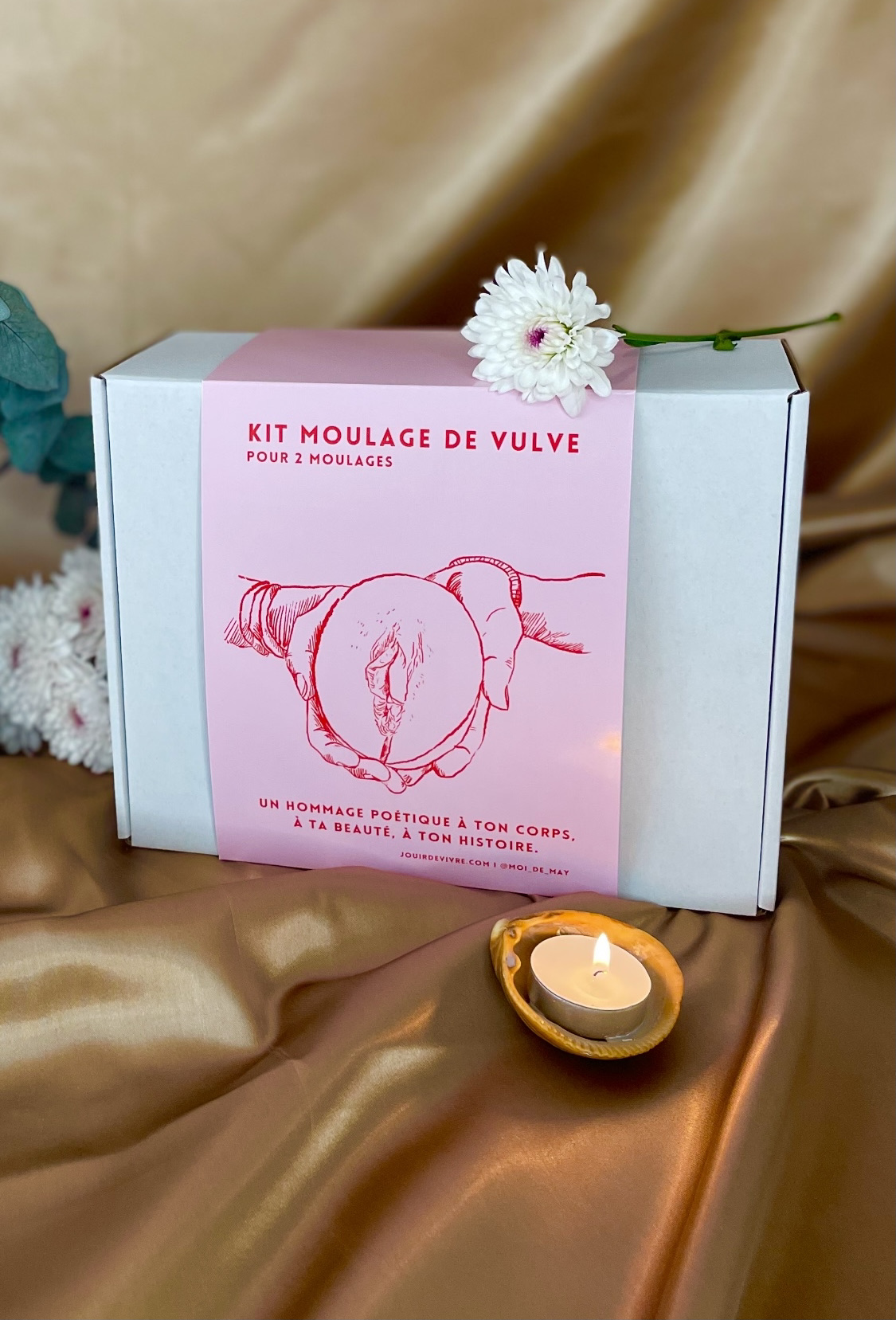 Kit de moulage de vulve